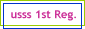 usss 1st Reg.